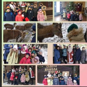 изображение_viber_2020-01-05_21-23-52-min